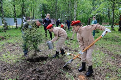 В международной акции &laquo;Сад памяти&raquo; приняло участие более 3 млн человек