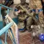 Украинские источники сообщают об использовании ВСУ робособак на фронте
