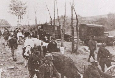 Операция &laquo;Висла&raquo;. Как поляки разгромили бандеровцев