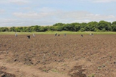 Глобальное потепление: сеять на месяц раньше начинают в Приморье