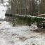 Генштаб ВСУ: Российские войска перешли в наступление на Лиманском и Купянском направлении