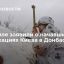 Пресс-секретарь Песков назвал информацию, приходящую из Донбасса, тревожной