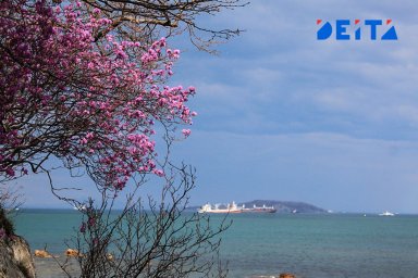 Какой погоды ждать на майских выходных, рассказали в Примгидрометцентре Какой погоды ждать на майских выходных, рассказали в Примгидрометцентре