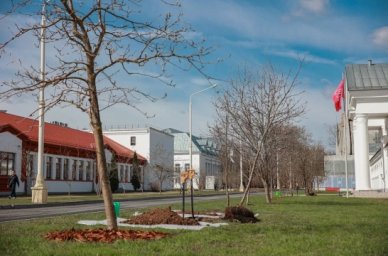 В Москве на ВДНХ заложили «Сад памяти» В Москве на ВДНХ заложили «Сад памяти»