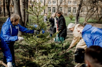 В Москве в рамках акции &laquo;Сад памяти&raquo; на Фрунзенской набережной высадили ели, сосны и красный клен