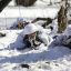 Эстонская разведка назвала новые сроки &laquo;российского вторжения на Украину&raquo;