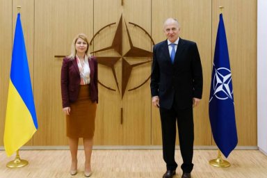 Заместитель генсека НАТО: Украине не обещали скорого вступления в альянс