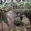ВС России выбили противника из удерживаемого ВСУ больше года опорного пункта