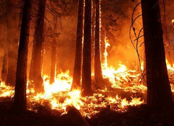 Россияне заплатят в 10 раз больше за пожары Россияне заплатят в 10 раз больше за пожары