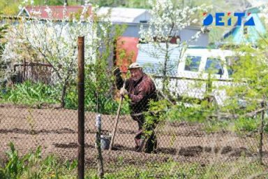 Коснётся каждого дачника: новые жёсткие требования вводят для всех владельцев земли Коснётся каждого дачника: новые жёсткие требования вводят для всех владельцев земли