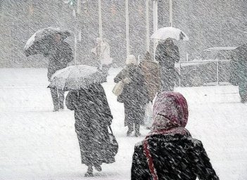 Врач объяснила, как не заболеть в праздники Врач объяснила, как не заболеть в праздники