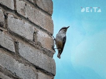 По-весеннему теплое воскресенье ожидается в Приморье