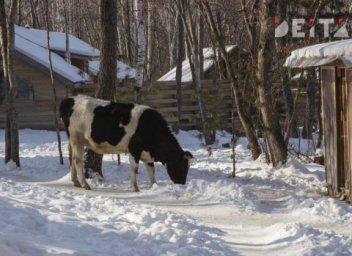 Россиян обязали осваивать участки в течение трёх лет с 1 марта Россиян обязали осваивать участки в течение трёх лет с 1 марта