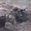 ВС РФ прорывом у Золотого Колодезя отвлекли внимание Генштаба ВСУ от Покровска