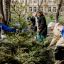 В Москве в рамках акции &laquo;Сад памяти&raquo; на Фрунзенской набережной высадили ели, сосны и красный клен