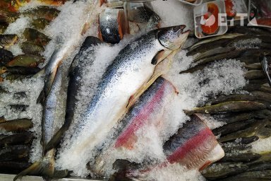 Точки продажи дешёвой свежемороженой рыбы предлагают установить по всей России Точки продажи дешёвой свежемороженой рыбы предлагают установить по всей России