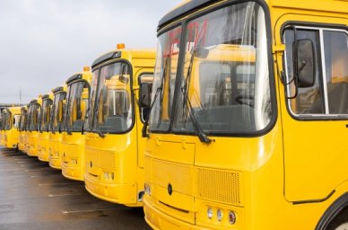 Волгоградская область получила 49 новых школьных автобусов Волгоградская область получила 49 новых школьных автобусов