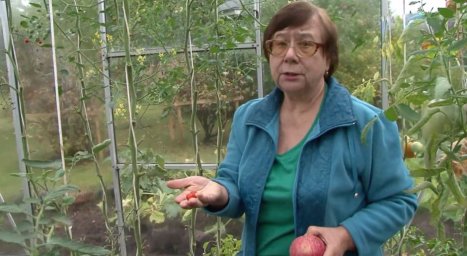Зеленые насаждения — вотчина супруги Дроздова