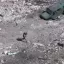 Штурмовые группы десанта прорвали оборону ВСУ, взяв под контроль половину микрорайона &laquo;Канал&raquo;