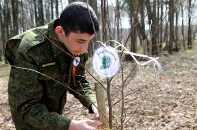 В Подмосковье на территории Бородинского лесничества в рамках акции &laquo;Сад памяти&raquo; посадили аллею