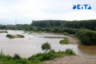Тайфун "Хиннамнор" погубил пенсионерку в Приморье