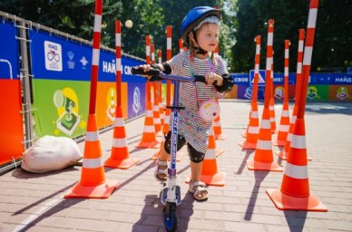 Педагоги могут пройти курс по организации безопасного участия детей в дорожном движении