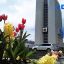 Новый совет начнет работу с иностранными зумерами в Приморье