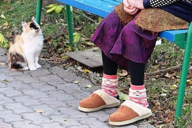 Будут ли пересматривать пенсии в России, рассказали в Совфеде