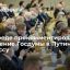 Сенатор Климов: обращение Думы к Путину по Донбассу отражает мнение большой части россиян