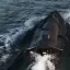 Командующий ВМСУ Неижпапа: Атаки морских дронов стали малоэффективными, российские военные научились