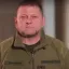 Швейцарская газета: Американские власти требуют от Зеленского уволить главкома ВСУ Залужного