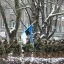 Эстония оказалась самой &laquo;решительной&raquo; в защите Гренландии от Трампа