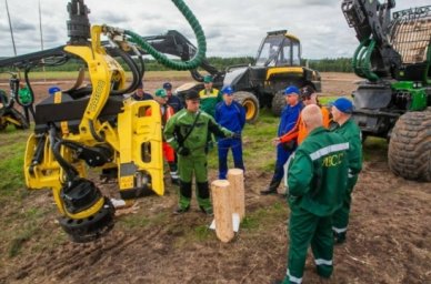 В Архангельской области в августе пройдет Всероссийский чемпионат &laquo;ПрофТехЛес&raquo;