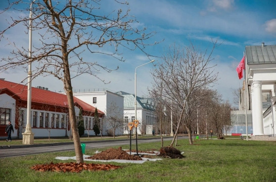 В Москве на ВДНХ заложили &laquo;Сад памяти&raquo;