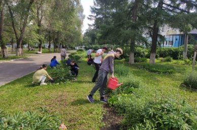 Проект «Трудовой десант» объединил более 11,3 тысячи подростков Кузбасса Проект «Трудовой десант» объединил более 11,3 тысячи подростков Кузбасса