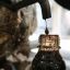 Россия только выиграет от введения потолка цен на нефть &mdash; экономист