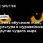 Школа обучения пчел, культура в муравейнике, и другие чудеса мира насекомых