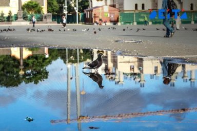Последние выходные лета порадуют улучшением погоды в Приморье Последние выходные лета порадуют улучшением погоды в Приморье