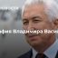 Биография Владимира Васильева