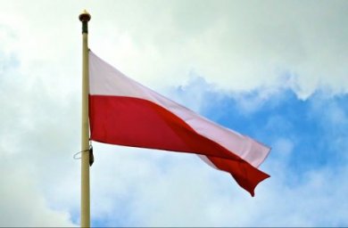 Польша требует от Зеленского извинений за героизацию украинских нацистов Польша требует от Зеленского извинений за героизацию украинских нацистов