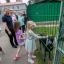 Оздоровительный лагерь под Петербургом примет летом 1 600 детей из Мариуполя