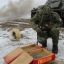 Российские силы освободили Невельское в ДНР