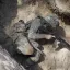 Противник малыми группами пытается бежать из смыкающегося вокруг Великой Новосёлки кольца