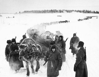 Операция «Дикий зверь». Как 2-я ударная армия попала в смертельную западню Операция «Дикий зверь». Как 2-я ударная армия попала в смертельную западню