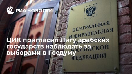 Глава ЦИК Памфилова пригласила Лигу арабских государств наблюдать за выборами в Госдуму
