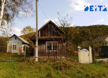 Памятка дачникам:&nbsp; как правильно удалять борщевик