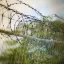 В США экстрадирован колумбиец, участвовавший в опаивании американских солдат с целью их ограбления