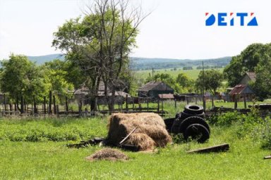 Мошенница из Приморья отобрала участок земли у ветерана труда Мошенница из Приморья отобрала участок земли у ветерана труда