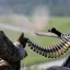 Западное СМИ: Россия выиграла &laquo;битву за боеприпасы&raquo; - ключевое сражение украинского конфликта