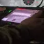 Минобороны: ВСУ потеряли два танка Leopard 2 при попытке прорыва в Глушковском районе Курской област